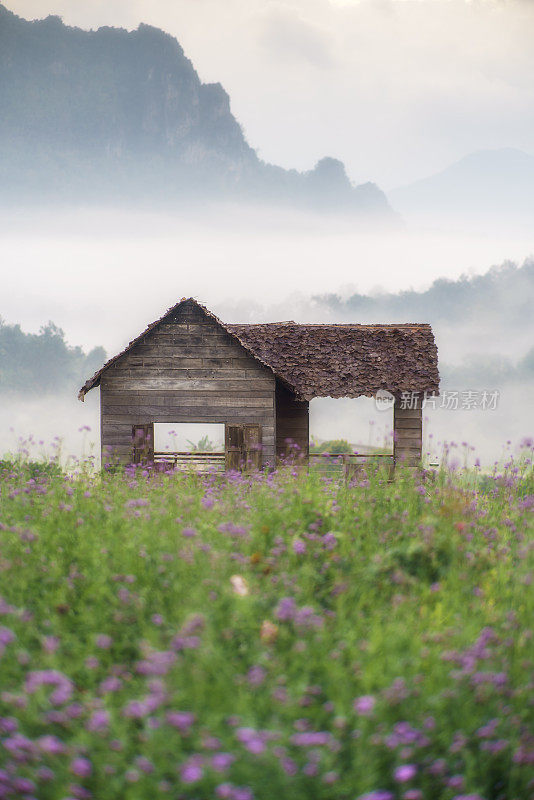 日出在Doi Chiang Dao山与雾和盛开的花园在清莱，泰国